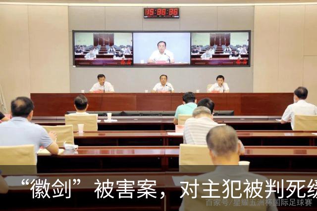 “徽剑”被害案，对主犯被判死缓我无法理解