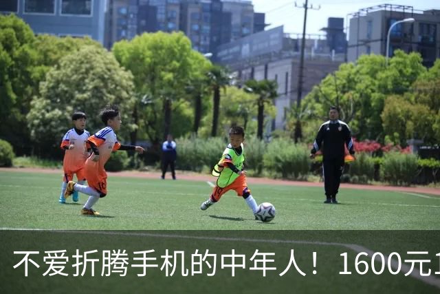 不爱折腾手机的中年人！1600元16+512首选这3台，耐用流畅