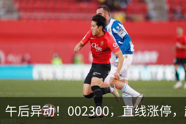 午后异动！002300，直线涨停，超70万手封单