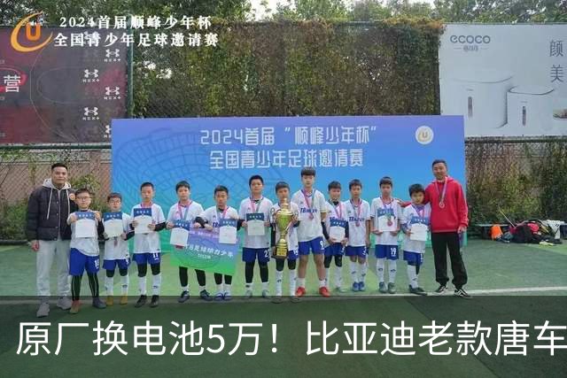 原厂换电池5万！比亚迪老款唐车主花2万多手搓大电池：续航翻倍