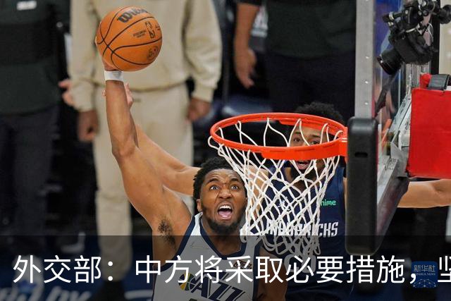 外交部：中方将采取必要措施，坚决维护中国企业合法权益