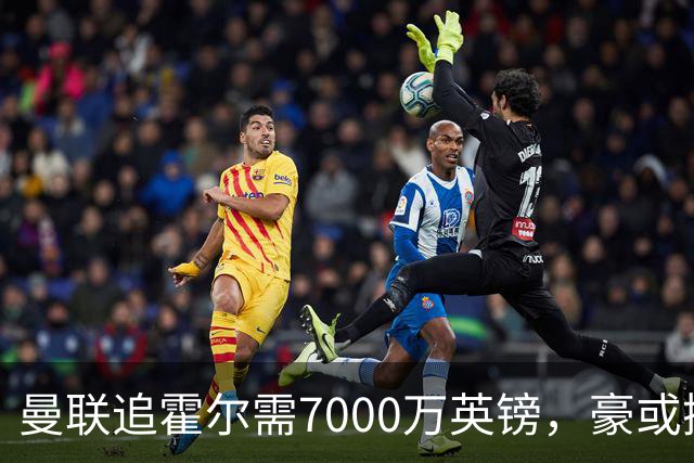 曼联追霍尔需7000万英镑，豪或携团队加盟