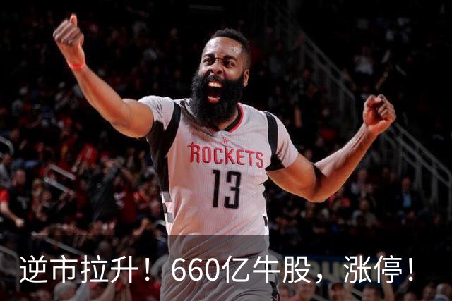 逆市拉升！660亿牛股，涨停！