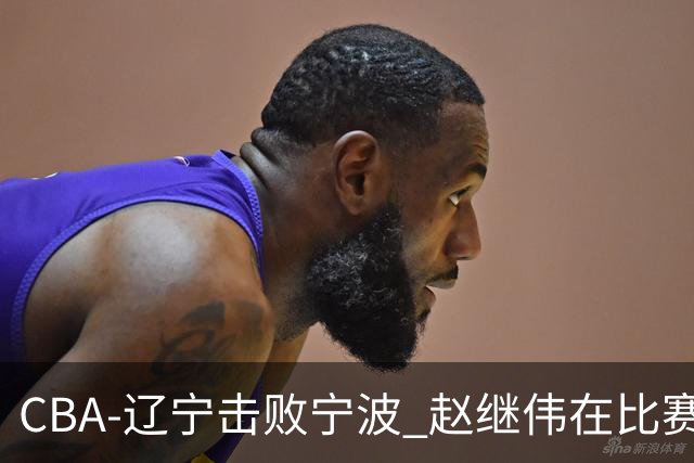 CBA-辽宁击败宁波 赵继伟在比赛中